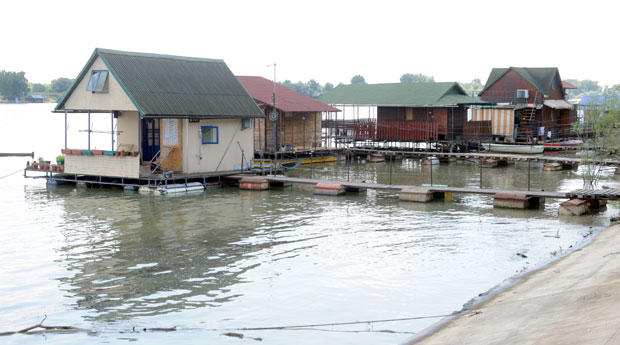 Дивљи сплавови преплавили Саву